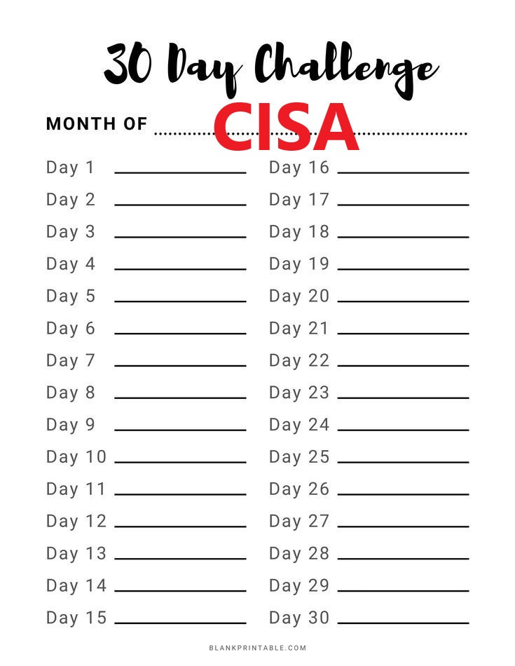 30 day strategy for CISA Success